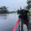 猛暑続きの8月・・・