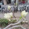 休みでした。