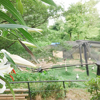 動物園