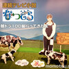 連続テレビ小説「なつぞら」＆朝ドラ100展　見どころを解説！
