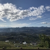 ぶどう狩りに行ってきました。