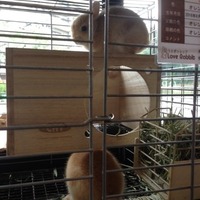 nonporiのおためJ