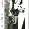 武田花さんの猫写真集『猫・陽のあたる場所』