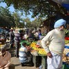 （インド旅行´23）チャンディガールのル・コルビュジエ建築と、野菜市場