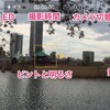 iPhoneでビデオ撮影してみよう【ビデオレターの作り方 基礎編】