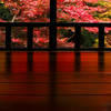 京都新聞写真コンテスト　瑠璃光院の紅葉