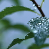 土曜日は冷たい雨