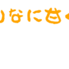 マレーシア留学　総括②　英語力の変化（その２）TOEICの点数で見る英語力