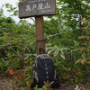 川西ダリヤ園の裏山