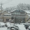 雪の朝・・