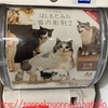 【ガチャ活】木彫り彫刻家 はしもと みお 猫の彫刻2 
