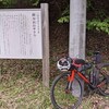 上野原市 降谷沢のサクラ