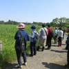 ５月２９日　自然学習会があったんじゃ