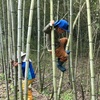 6月11日の保育