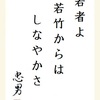 若者よ若竹からはしなやかさ 