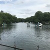 「井の頭公園」初めて来たのですが広くて周りきれずに終わりました（笑）