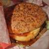 ロコモコバーガー
