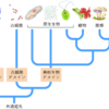 飛躍の方向性