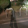 こんなところにピコリーノ