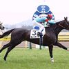 【シルク】週末（2/12･13）の出資馬・出走結果