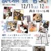 週末の譲渡会のお知らせ