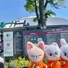 【ライブ】スキズと過ごしたおもちゃ箱のような時間！Stray Kids Fan Connecting 2024 "SKZ TOY WORLD"＠埼玉