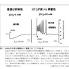 向精神薬由来症状/離脱症状の安全な取り組み方の検討と治療 13