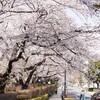 小石川後楽園近辺