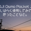 【DJI】Osmo Pocket 3で撮った動画としばらく使用してみて分かったことなど。