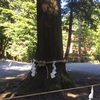 日本一の金運神社と秘密の神社