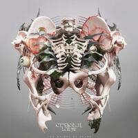 Crystal Lake - Neversleep 歌詞 ( Lyrics)「和訳対照」