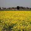 和泉リサイクル環境公園