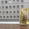 瀬戸田レモンケーキ島ごころレビュー！！