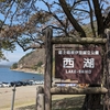 富士五湖ウルトラマラソンを完走しました