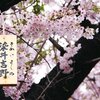 「桜の起源は韓国」と言う主張が完全に消滅した日