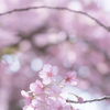 三月さいごの日曜日