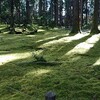 白山平泉寺。お寺ではないのですよ。