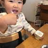 1歳    4月23日    ダンゴムシ踏んじゃったね