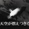 虚飾を排した78分。　天空が燃えつきる日