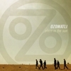  Ozomatli / Place In The Sun