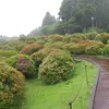 箱根・山のホテルのバラ園、正直レポート【無料・見頃2026】