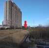 『市野谷水鳥の池』の整備状況