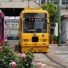 GW特集：バラの咲く都電荒川線の旅①『有楽町駅～王子駅～王子駅前停留場へ』