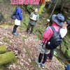 サンテレビ！「兵庫五国苔リトリートツアー」2024年5月19日8:30～放送！ひょうご発信！【大阪・関西万博ひょうごフィールドパビリオン】