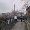 横浜・大岡川の桜を静かに楽しむ〜上大岡「フォレスタリア」で大人のお花見ランチ