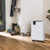 Is A Dehumidifier More Useful In The Summer?