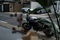 思わぬ偶然とバイク夏のカフェ巡り#11＠nook