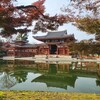 【京都】宇治、『平等院』　紅葉