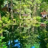 光前寺の池（長野県駒ヶ根）