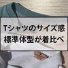 【完全版】グッドウエアのTシャツのサイズ感は？標準体型の僕が着比べたので参考にしてください！